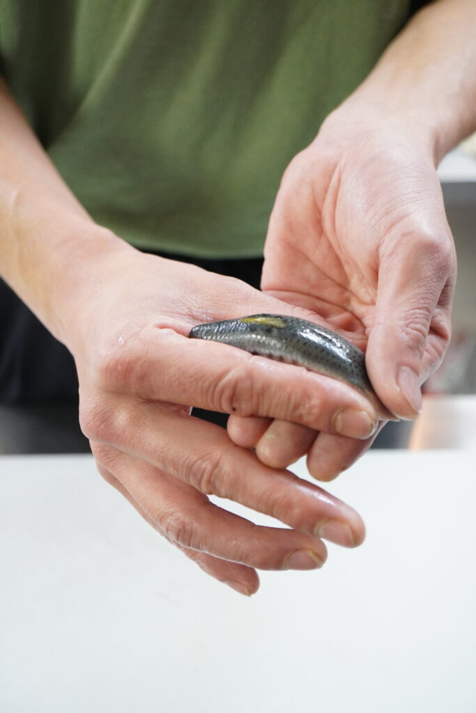 実習風景~その166~ 2 DSC00721