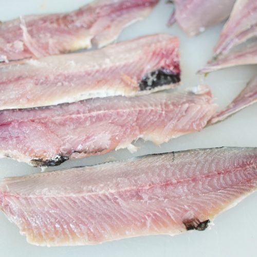 実習風景～その174～